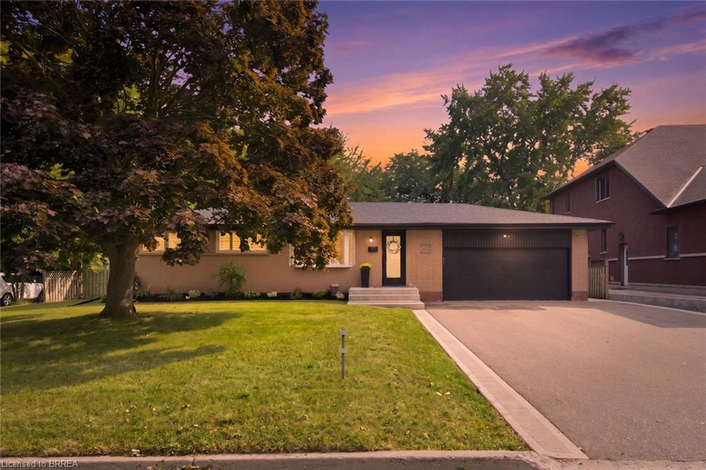 All-brick bungalow front exterior at dusk with a mature maple, wide lawn and attached double garage at 45 Wayne Dr, Brantford